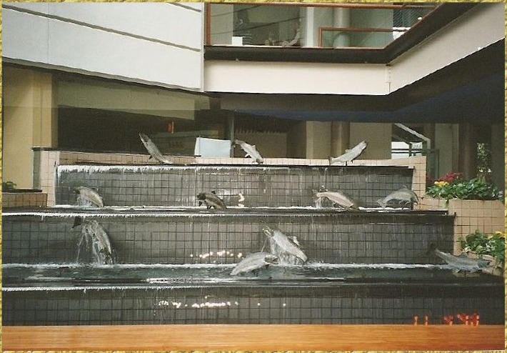 Fish Fountain